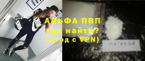 гидра Волоколамск