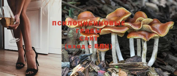 PSILOCYBIN Володарск